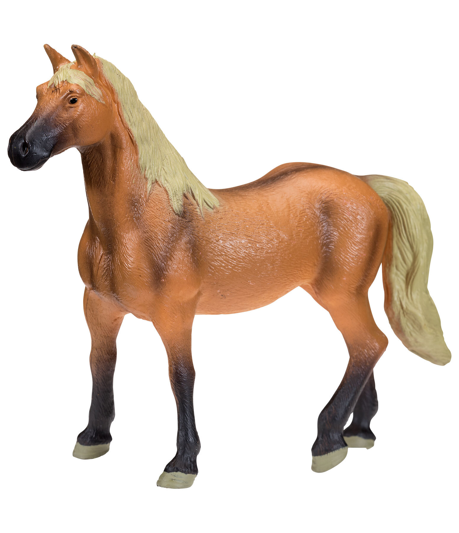 BWP (Cheval de sang belge)  Play series