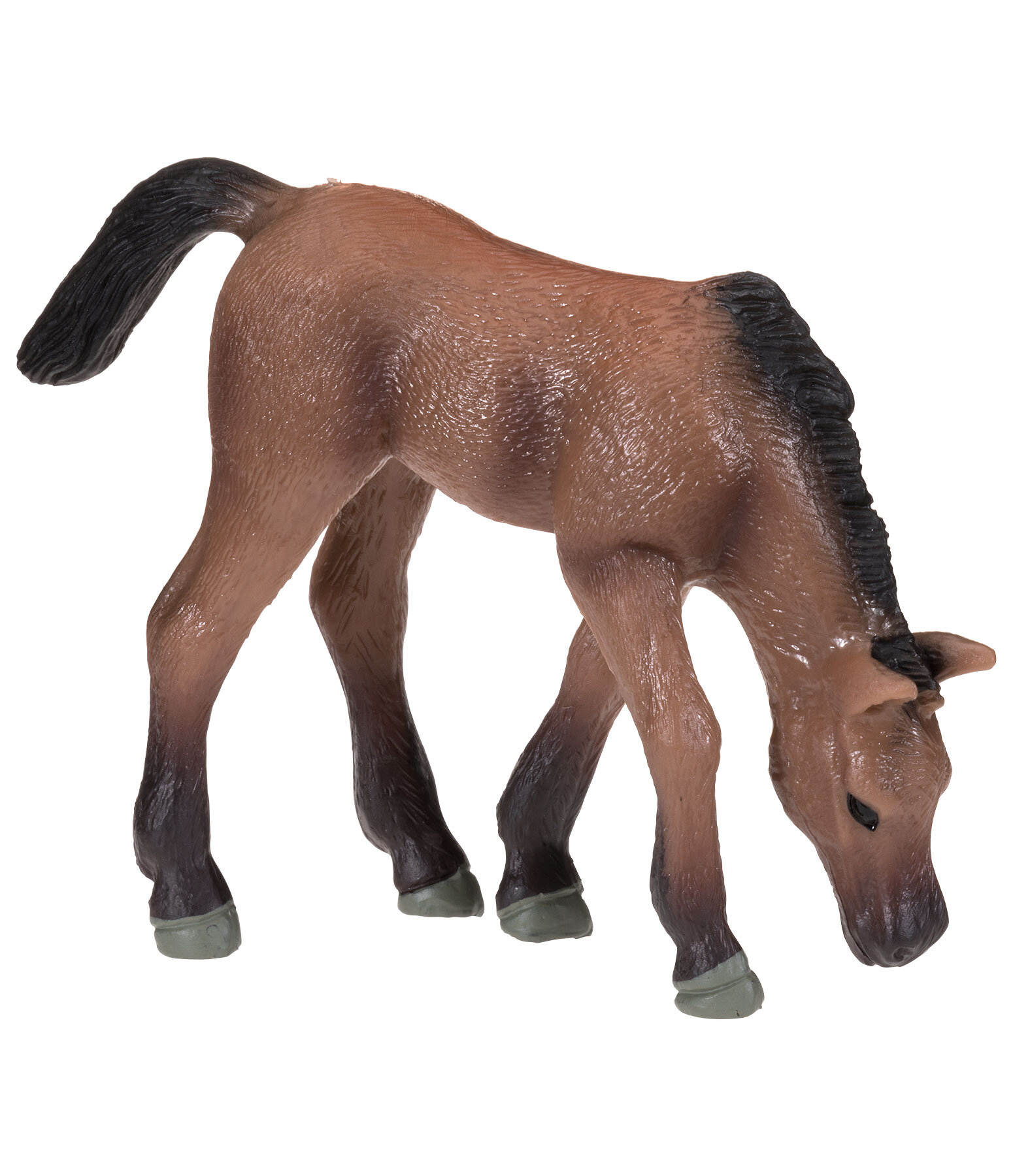Poulain broutant  Play series