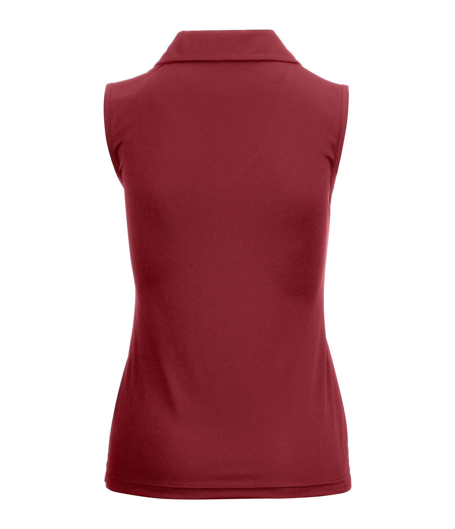 Polo technique  Luise II