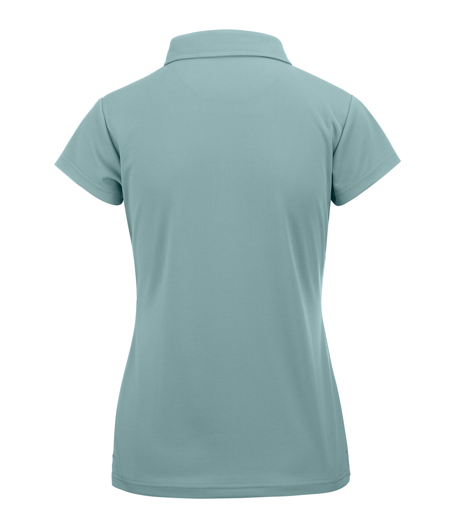 Polo technique  Hanni