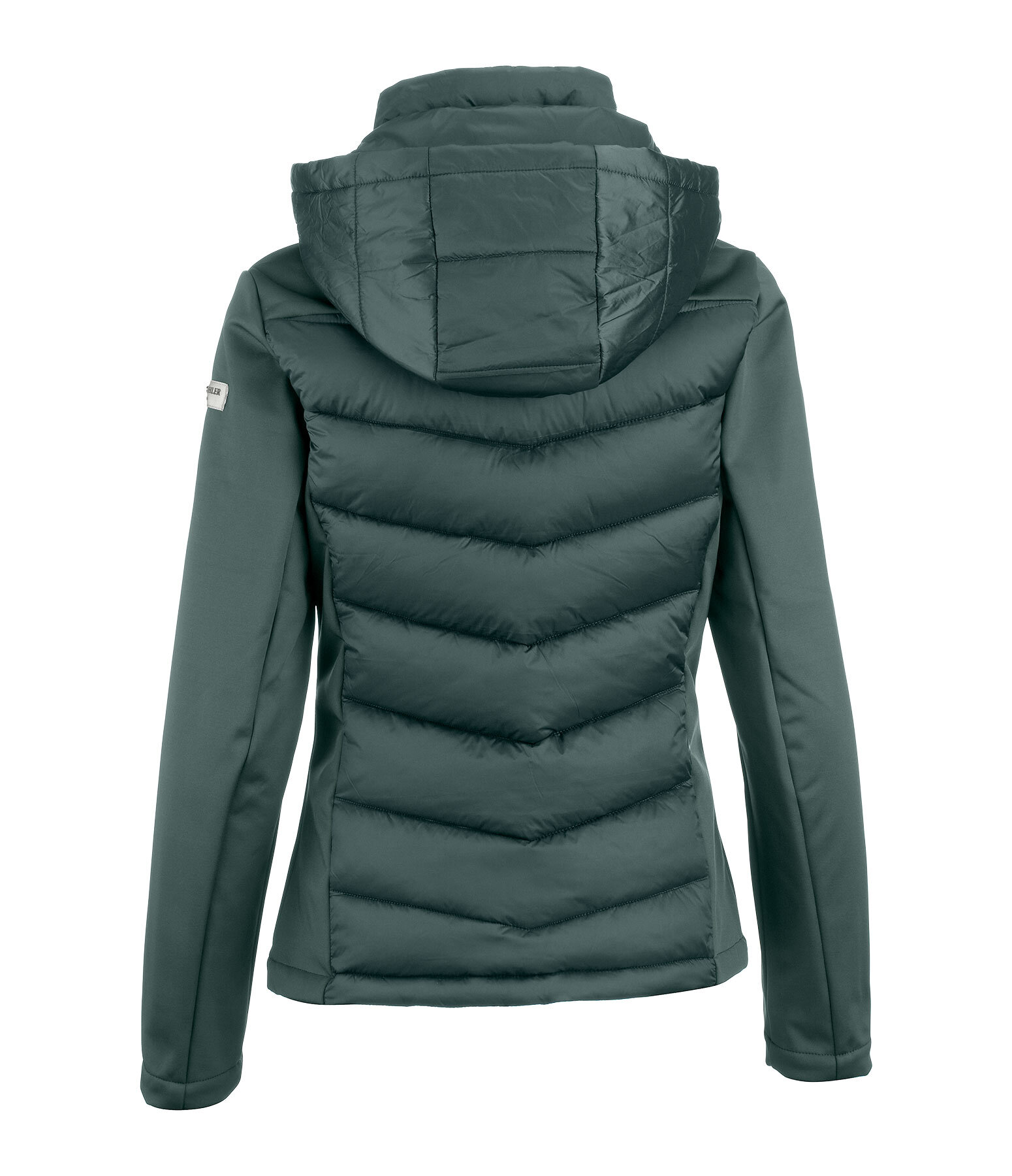 Veste d'quitation  capuche bi-matire avec Softshell  Claire