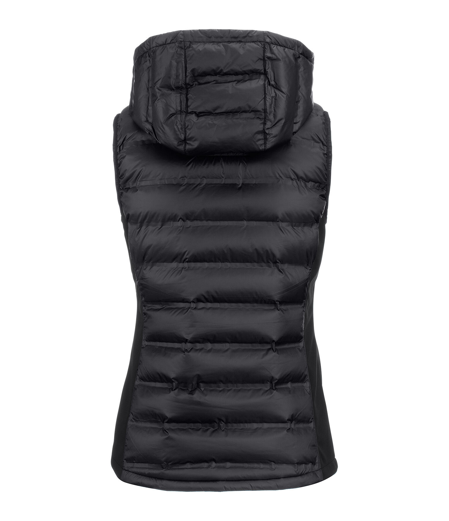 Gilet d'quitation bi-matire  Lilou