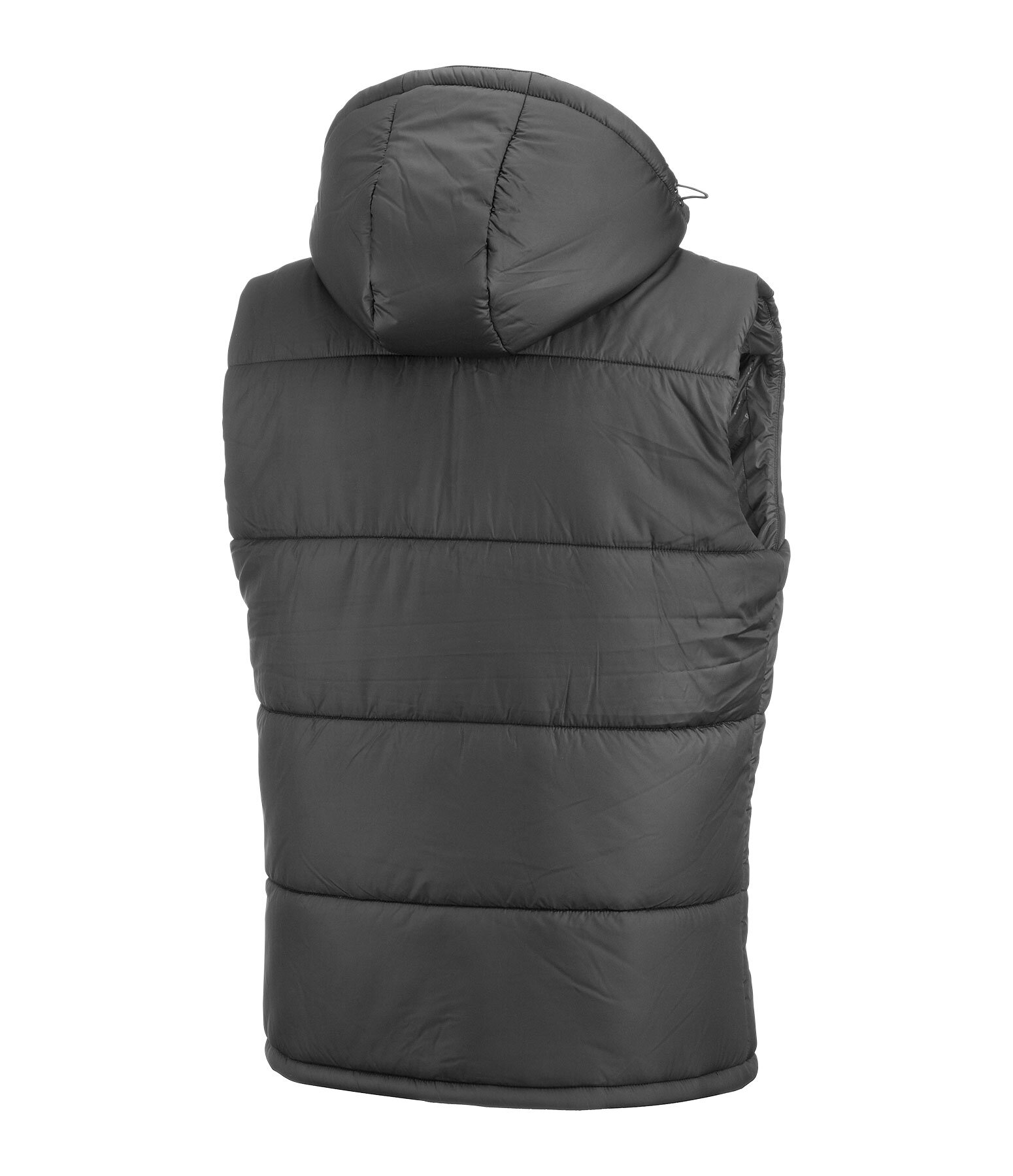 Gilet d'quitation matelass Homme  Omaha