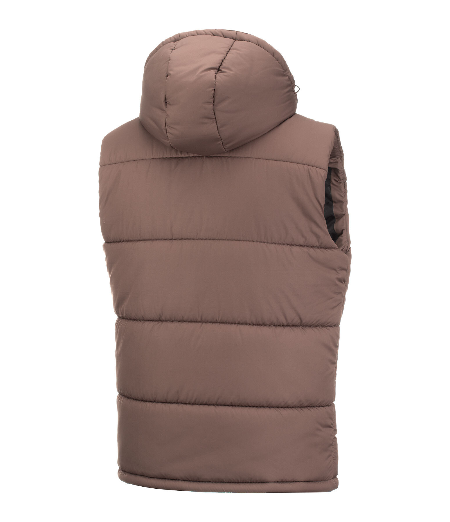 Gilet d'quitation matelass Homme  Omaha