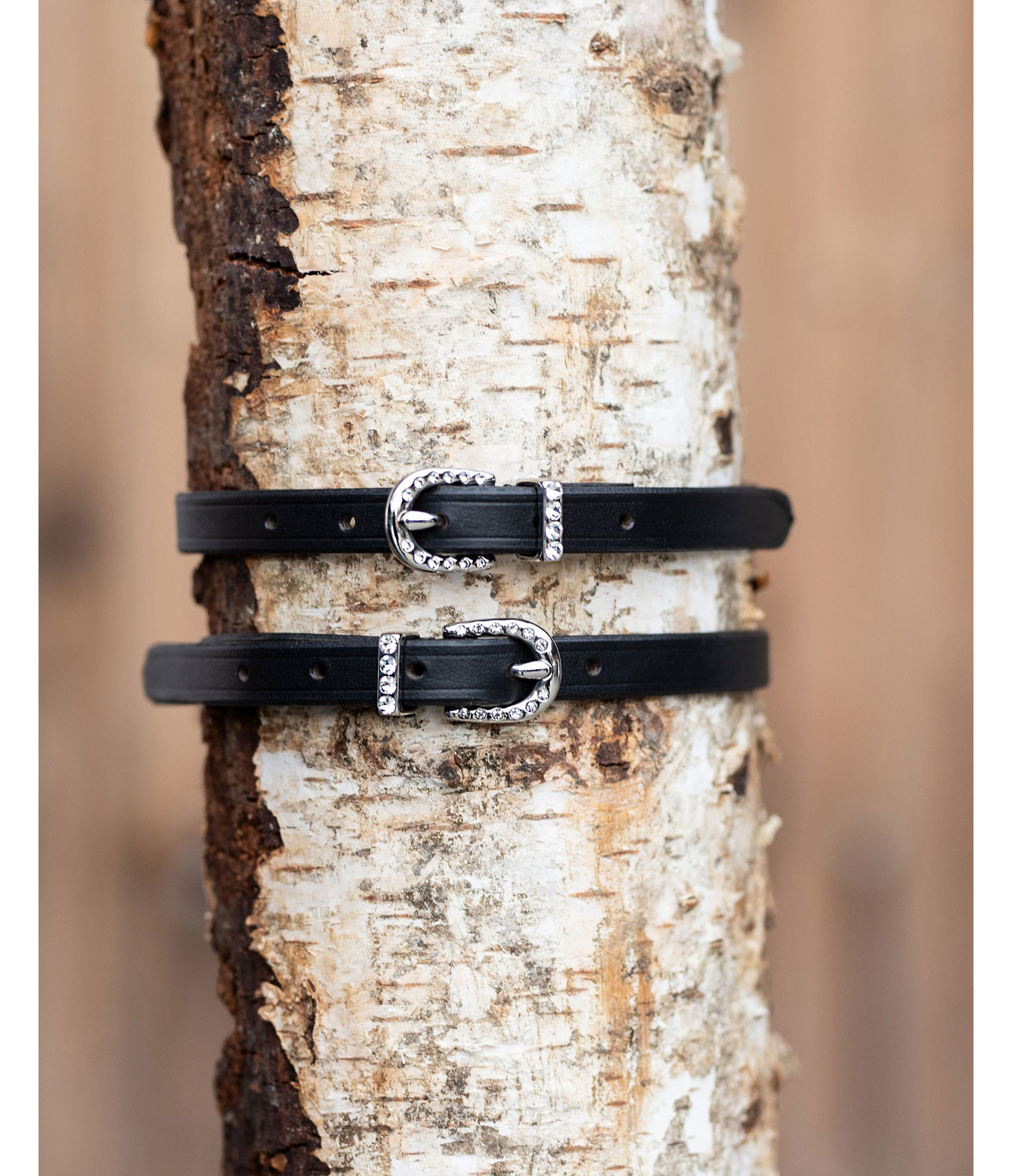 Lanires d'perons  Bury