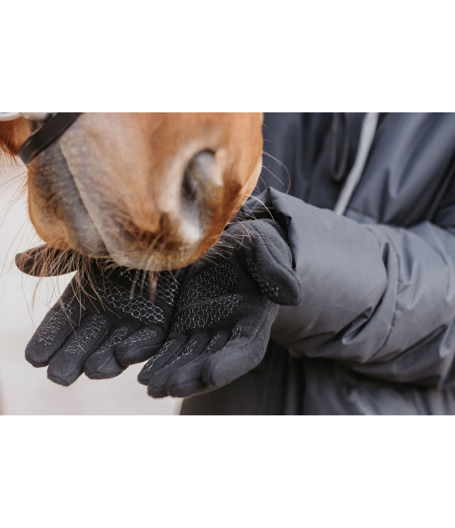 Gants hiver en polaire  Softy