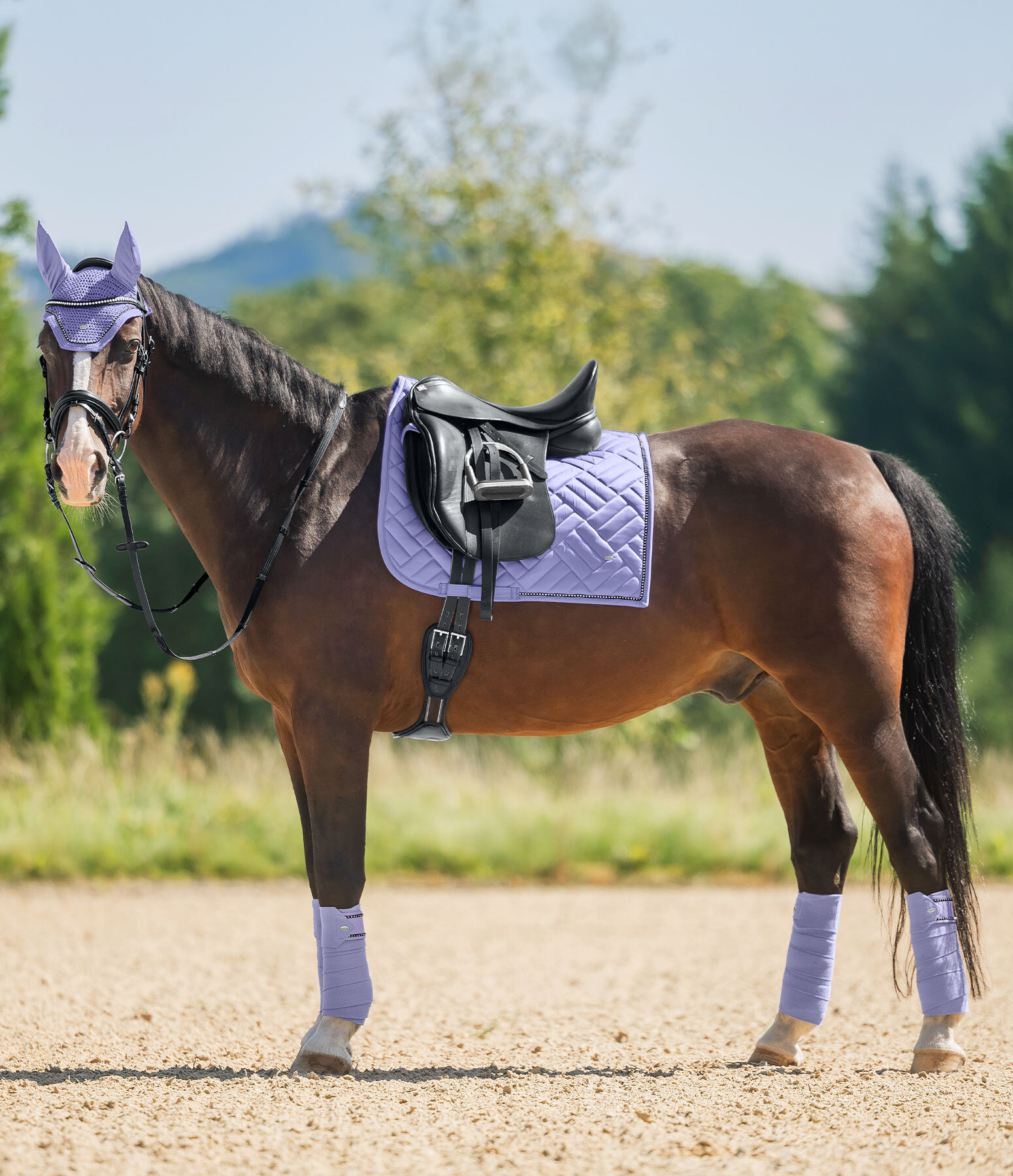 Tenue Brilliant en lilas