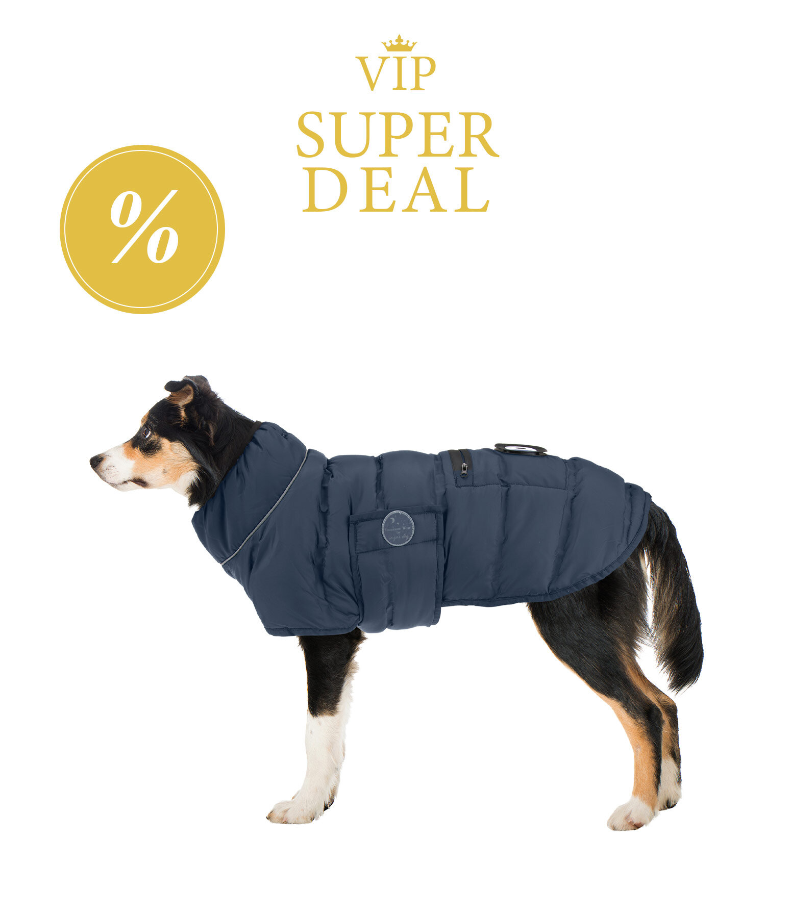 sugar dog Manteau pour chien matelass� avec lampe LED Arlo, 300 g