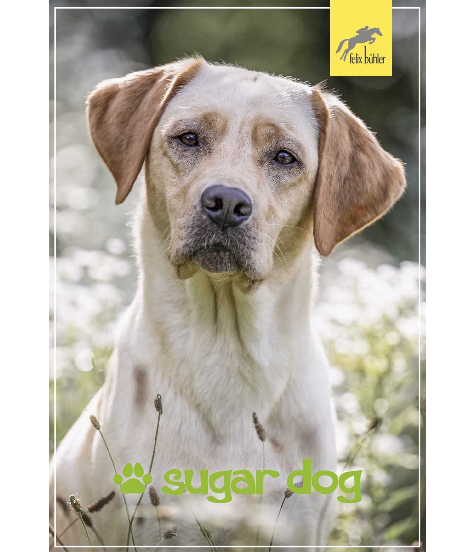 Bon cadeau  imprimer