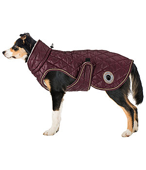 sugar dog Manteau avec doublure en polaire Teddy pour chiens  Archie, 160 g - 230955-M-KI