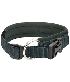 sugar dog Collier pour chiens  Becks - 231007-M-GT