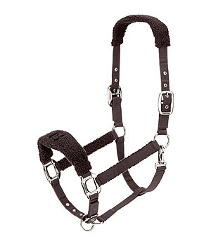 Felix B�hler Licol  Teddy - 310082-F-ES