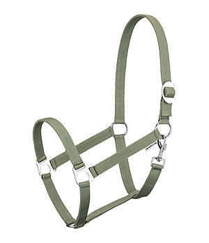 SHOWMASTER Licol en nylon  prix cass - 320018-F-AL