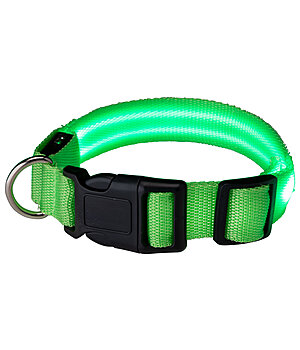 STEEDS Collier pour chiens LED  Loom - 340991-S-G