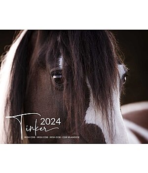 Equino Media Calendrier Irish Cob 2025 - 390000