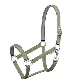 SHOWMASTER Licol en nylon  prix cass II - 440414-F-AL