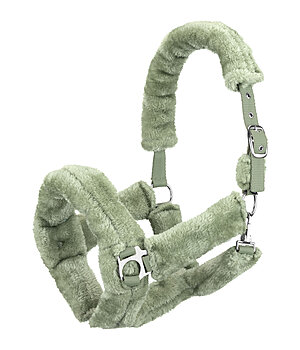 SHOWMASTER Licol en polaire Teddy  Protection - 440705-F-AL