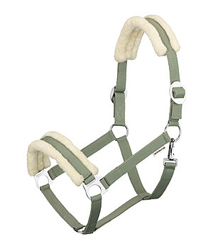 SHOWMASTER Licol en polaire Teddy  prix cass III - 440826-F-AL