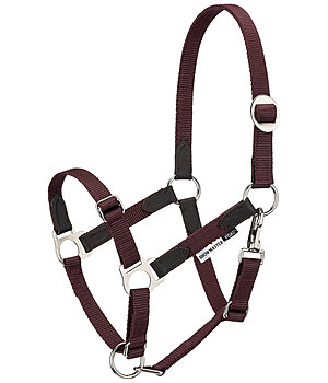 SHOWMASTER Licol poulain et shetland  Katy - 440863-FO-MA