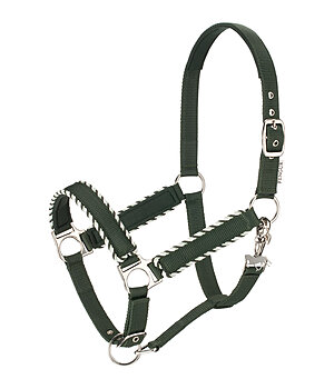 FENGUR Licol  Dagur - 580036-C-DG