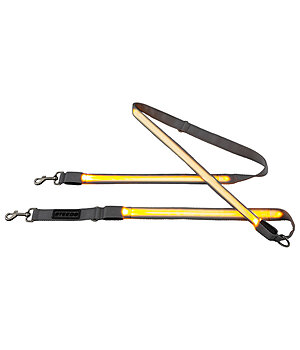 STEEDS Laisse pour chien LED  Loom - 600023