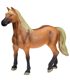 SHOWMASTER BWP (Cheval de sang belge)  Play series - 622017