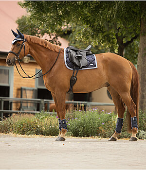 Tenues aux couleurs assorties pour chevaux | fr.felix-buehler.ch