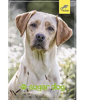 Felix Bhler Bon cadeau  imprimer - GUTZA111-5W