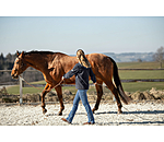 Stick Profi Horsemanship