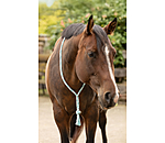 Cordelette en coton  Tapeka