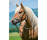 Licol de randonn�e 3 en 1