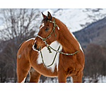 Licol de randonn�e 3 en 1