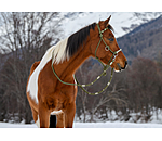 Licol de randonn�e 3 en 1