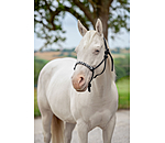 Licol � noeud  Beaded