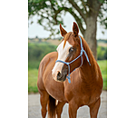 Licol �thologique  Bo