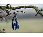 Porte-clefs  Waleah