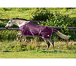 Chemise anti-mouches  Breeze