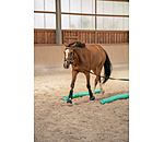 Barres multifonction