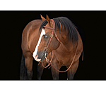 Bridon de travail western  Buckle End
