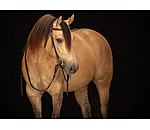 Bridon d'entranement en cuir Harness