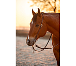 Bridon d'entranement une oreille en cuir Harness