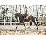 Tapis de selle   Essential
