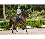 Tapis de selle  Swiss Design