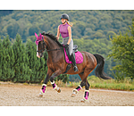 Tapis de selle  Essential Standard