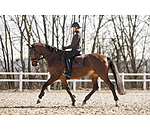 Tapis de selle  Brilliant