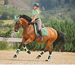 Tapis de selle  Sophistication sans contre-sanglons