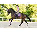 Tapis de selle  Sophistication sans contre-sanglons