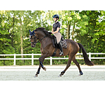 Tapis de selle  Signature III