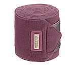 Bandes polaire  Swiss Design