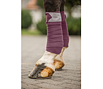 Bandes polaire  Swiss Design